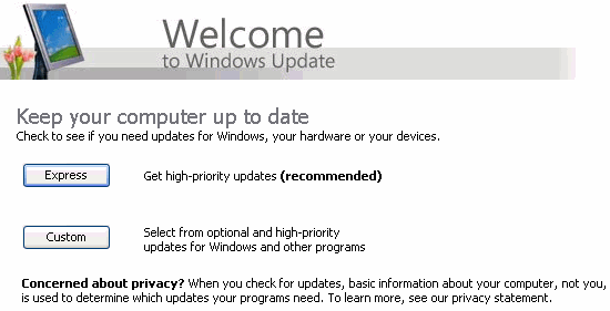 High Priority and/or Optional Windows Updates